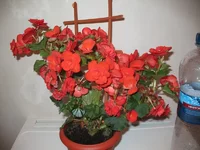 IMG_4890.webp