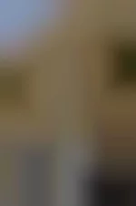 .webp