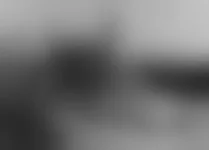 .webp