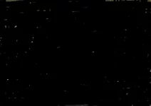 .webp