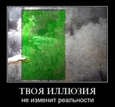 45791_original.webp