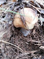 20130723_111616.jpg