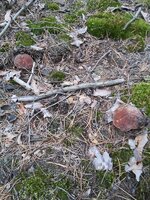 20130723_120106.jpg