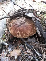 20130723_121204.webp