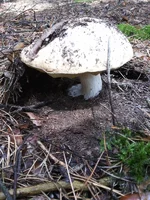 20130723_125838.webp