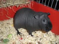 DSCN6178.webp