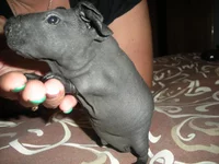 DSCN6733.webp