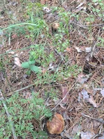 IMG_087302.webp