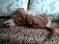20130725_121446.jpg
