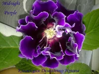 240720133103.webp