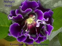240720133104.webp