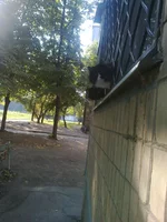 0473.webp