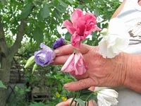 IMG_0001+.jpg