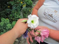 IMG_0002+.webp