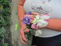 IMG_0003+.jpg