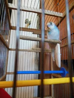 DSCN0400.webp