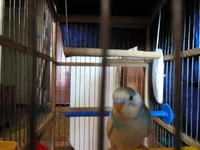 DSCN0403.webp