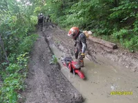 SDC11154.JPG