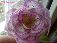 300720133169.webp
