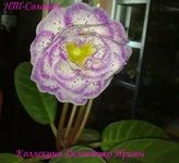 300720133170.webp