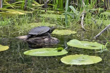 DSC_0539.webp