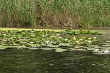 DSC_0315.webp