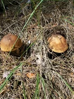 20130731_130104.jpg