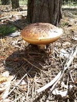 20130731_143032.webp