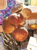 20130731_165146.jpg