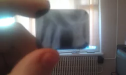 IMAG0085.webp
