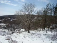 DSC07331.jpg