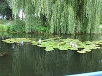 IMG_4734.jpg