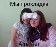 vM5XQVL6y1Y.webp