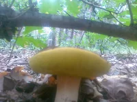 01082013171.webp