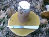 01082013187.webp