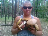 01082013190.webp
