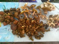 01082013202.webp