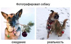 fail6.webp