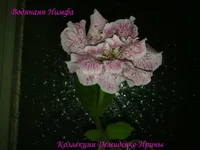 020820133185.webp