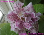 020820133187.webp