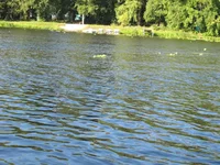 IMG_4750.webp