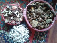 2013-08-02 14.51.04.jpg