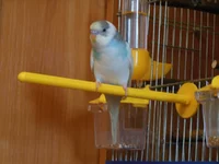 DSCN0439.webp
