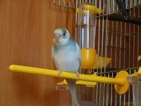 DSCN0442.webp