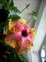 n04EPu_VlTo.webp