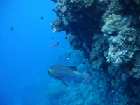 Grand 0097.webp