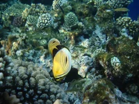 Grand 0123.jpg