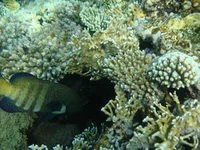 Grand 0166.webp