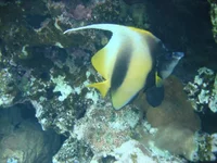 Grand 0252.jpg