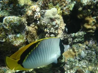 Grand 0528.jpg